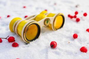 Lost vintage theater binoculars lie in the snow among red rowan berries