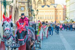 coche de caballos para el entretenimiento de los turistas en la plaza del casco antiguo
