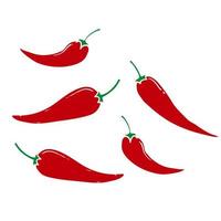 doodle Fresh red hot chili pepper. Kitchen organic vector spicy taste chili pepper with hand drawn cartoon style isolated vector