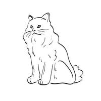 cat illustration vector hand drawn isolated on white background line art.