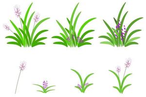 vector green grass set