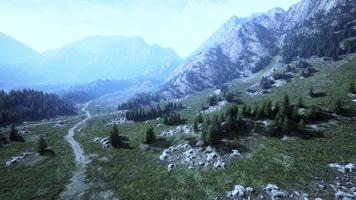 Winding road in the mountains with pine forest photo