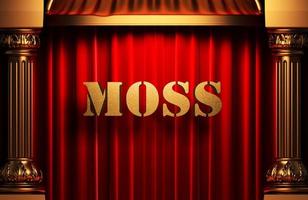 moss golden word on red curtain photo