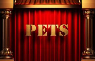 pets golden word on red curtain photo