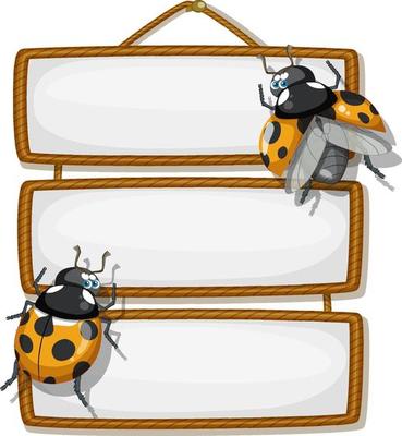 Isolated wooden banner with beetle