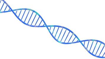 Helix dna aislado en la representación de ilustración 3d de fondo foto