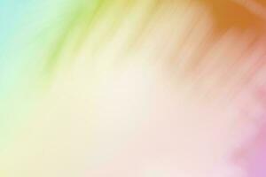 Soft blurred tropical palm leaf with a pastel color background. photo