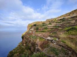 Plantations on the cliffs next to the ocean during sunrise. Fields for agriculture. Madeira Island, Portugal. Local and organic food from traditional farming. Vibrant and beautiful colors. photo