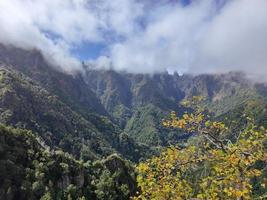 Amazing view of different mountain peaks in Madeira Island, Portugal during a sunny day with clouds passing. Beautiful mountain range. Yellow leaves in the tree, autumn feeling. Travel the world. photo