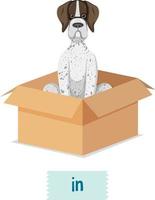 Prepostion wordcard design with dog in box vector