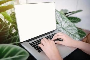 Creative Freelancer Woman Using Laptop in Cafe With Houseplant, Business Woman Online Working on Computer Laptop While Sitting Indoors Cafe. Work on Laptop and Communication Online photo