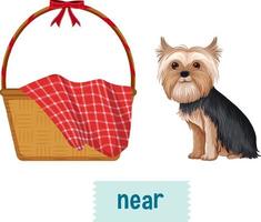 diseño de wordcard de preposición con perro cerca de la cesta vector