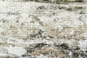 Old brick wall with white texture background. photo