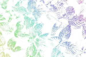 leaves in vibrant gradient with a pastel colored on white background. Concept art. photo