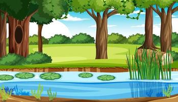 Scene with trees and river in forest vector