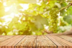 Empty wooden table top on blur of grape garden background. For your product display or design key visual layout photo