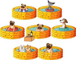 Cute puppy dogs party in rubber swimming pool vector