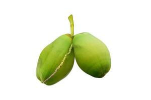 Green coconut Fruit isolated on white background. Object with clipping path photo