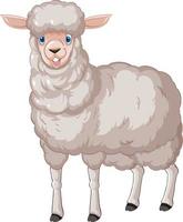 A sheep pose on white background vector