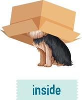 Preposition wordcard with dog inside box vector