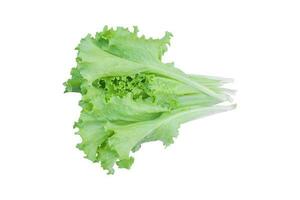 Green lettuce salad isolated on white background. with clipping path. photo