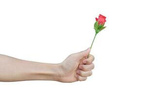 close-up of hand holding red plastic rose, isolated on white background. with clipping path. photo