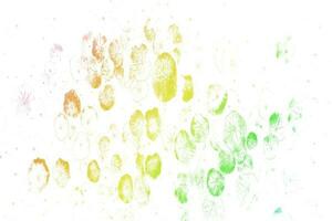 leaves in vibrant gradient with a pastel colored on white background. Concept art. photo