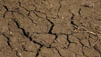 torr sprucken jord marken på ett fält utan regn och vatten - torka video
