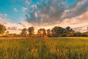 puesta de sol sobre la hierba y el floreciente paisaje de pradera. Fantástico paisaje rural de primavera verano, hermosa naturaleza escénica. vista colorida, cielo de nubes de ensueño foto