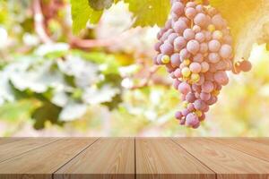 Empty wooden table top on blur of grape garden background. For your product display or design key visual layout photo