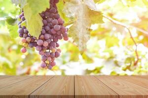 Empty wooden table top on blur of grape garden background. For your product display or design key visual layout photo