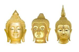 tres cabezas de oro de Buda aisladas sobre fondo blanco. objeto con trazado de recorte. foto
