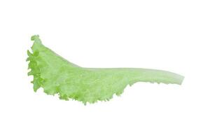 Green lettuce isolated on white background with clipping path. photo