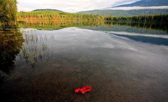 Reflections on a mountain lake in British Columbia photo