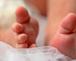 los pies del bebé fotografiados por el estudio mcmaster en la mandíbula de alce foto