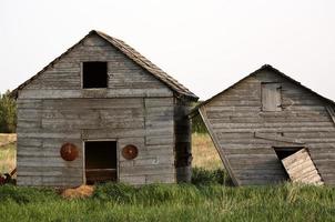 Two rundown wooden granaries in Saskatchewan photo