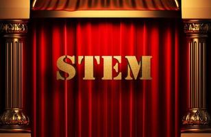 stem golden word on red curtain photo