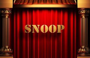 snoop golden word on red curtain photo