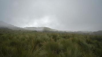 Andean paramo landscape on the slopes of the Pichincha volcano without people on a very cloudy day photo