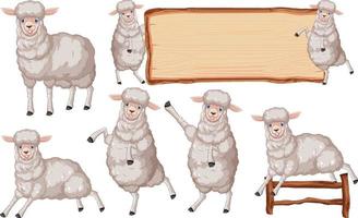 Set of different farm sheeps in cartoon style