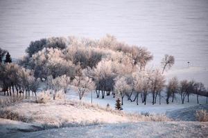 Winter view of Buffalo Pound Lake Park photo