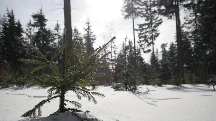 大風雪影片