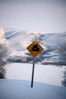 Steep hill sign with view of Buffalo Pound Lake photo