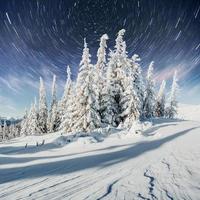 starry sky in winter snowy night. fantastic milky way in the New Year's Eve. In anticipation of the holiday. Dramatic scene. Carpathian. Ukraine photo