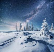 Dairy Star Trek in the winter woods. Dramatic and picturesque scene. In anticipation of the holiday. photo