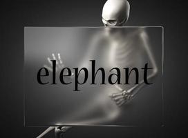 elephant word on glass and skeleton photo