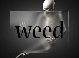 weed word on glass and skeleton photo