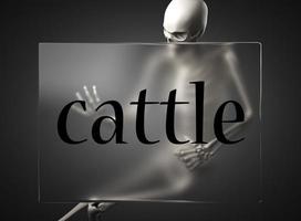 cattle word on glass and skeleton photo