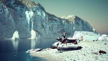 Private Beach Below Sandstone Cliffs in ocean photo