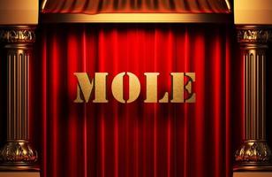mole golden word on red curtain